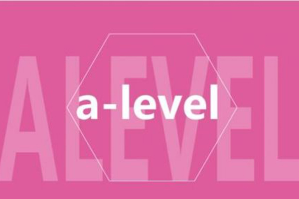 2021年Alevel夏季考试可能取消  没关系你还有这些备选内容图片_2