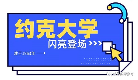 罗素集团新晋C位 约克大学本科申请条件究竟有多高内容图片_2
