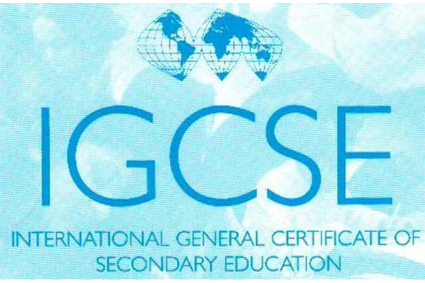 学员家属必看 学员从体制内到国际学校IGCSE早期课程有必要读吗内容图片_2