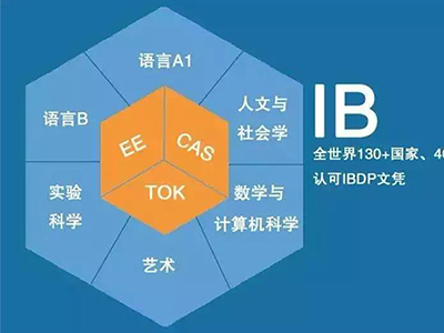 IB课程包括哪些  6大课程板块3大核心标准