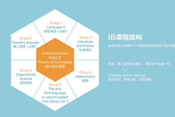 IB CAS怎么算分 你想不到CAS在IB课程中一分不占内容图片_2