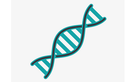 所有考试局都必考的AS生物知识点DNA 用一道大题带你理清内容图片_1