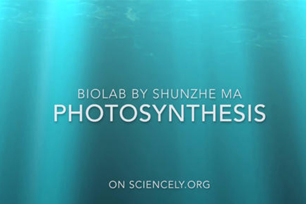 AP生物复习提纲 方向找得准理想分不会溜内容图片_1