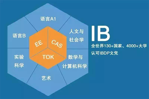 IB课程包括哪些  6大课程板块3大核心标准内容图片_2