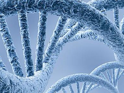 IGCSE生物考试冲A攻略  IGCSE生物真题Enzyme酶分析