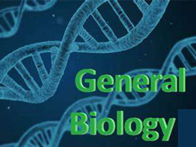 2021IGCSE生物考试想拿A* 这15条复习策略很有用