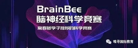 2021年1月到6月国际竞赛报名时间汇总！AMC BBO UKCHO都是学神们申请牛剑的助力内容图片_2