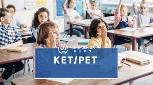 如何做好PET网上学习 才能拿下通过率超低的PET考试内容图片_6