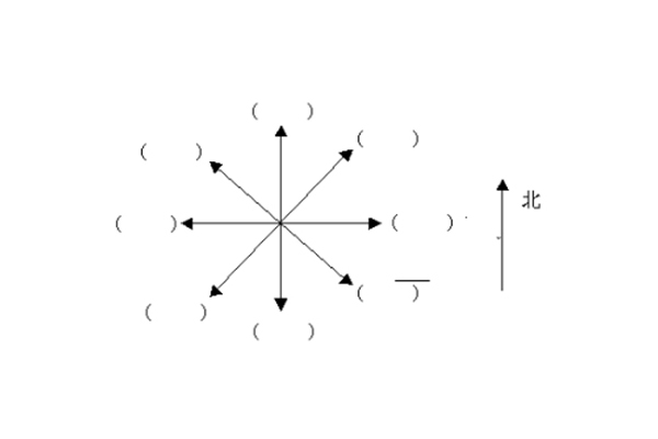 IB数学EE怎么写  内容图片_1