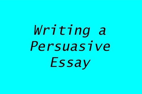 教你如何勾勒IB经济学essay写作框架   这样做就对了内容图片_2