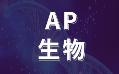 AP生物知识点总结 大考前复习必看内容图片_1