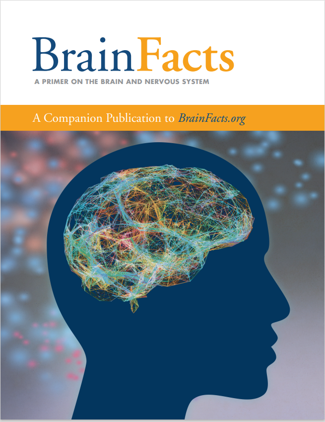 如何复习BRAIN BEE竞赛 让获奖选手教你如何高效利用参考书内容图片_2