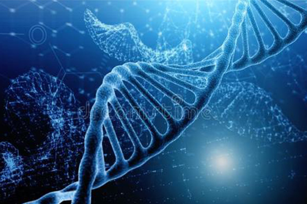 AP生物怎么才能考理想分？这10个历年必考的概念内容图片_2