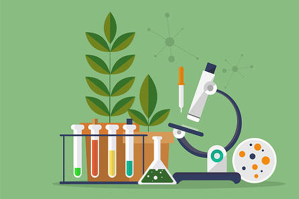 有哪些省时高效的IB生物选择题做题方法？这2大方法大神用了都说好！内容图片_2