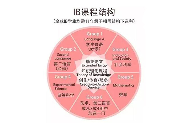 又又改革了  IBO宣布2021年IB考试又将改革   IB考试改革将集中在在3个科目中哦内容图片_1