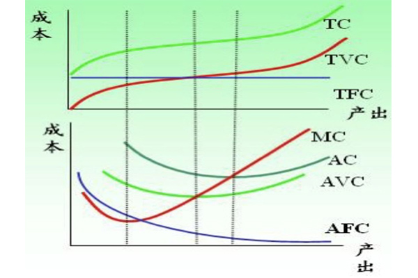 AP微观经济学课程怎么学？从词汇公式到经济现象统统为你讲清楚了内容图片_2