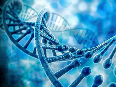 ​IB生物IA实验怎么做  这6个降低分数的雷区你踩了吗