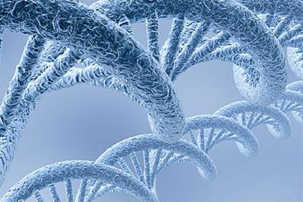 速来划重点  2021IGCSE生物Paper2考点总结  你查漏补缺了吗内容图片_1