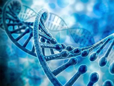 理论知识太多？刚接触国际课程IGCSE生物怎么学