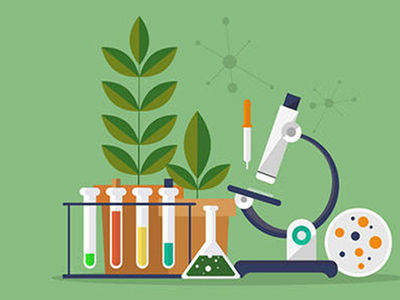 有哪些省时高效的IB生物选择题做题方法？这2大方法大神用了都说好！