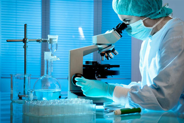 这些历年考到的AP生物考试知识点总结来了  别不信有每年的AP生物真题作证哦内容图片_1