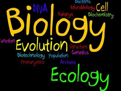 ALEVEL生物拿A难吗 实验操作与知识掌握两不误才能学好TA