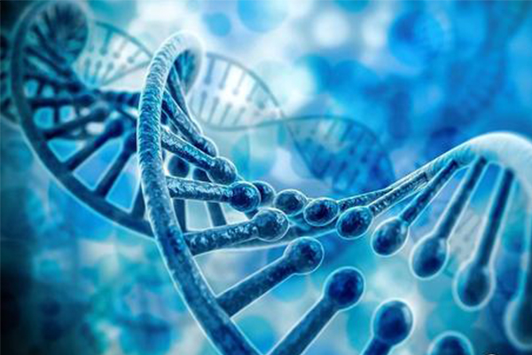 ​IB生物IA实验怎么做  这6个降低分数的雷区你踩了吗内容图片_1