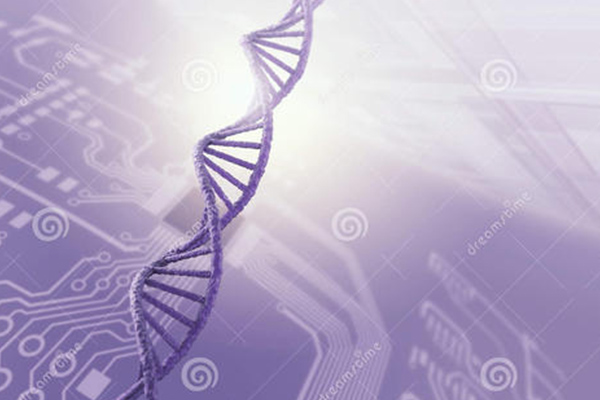 有哪些省时高效的IB生物选择题做题方法？这2大方法大神用了都说好！内容图片_1