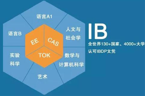 IBTOK论文怎么写  从选题到写作要点N种建议带你写出IB高分内容图片_2