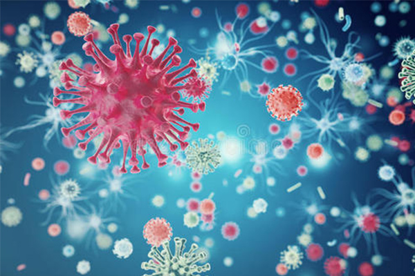 AP生物怎么才能考理想分？这10个历年必考的概念内容图片_1