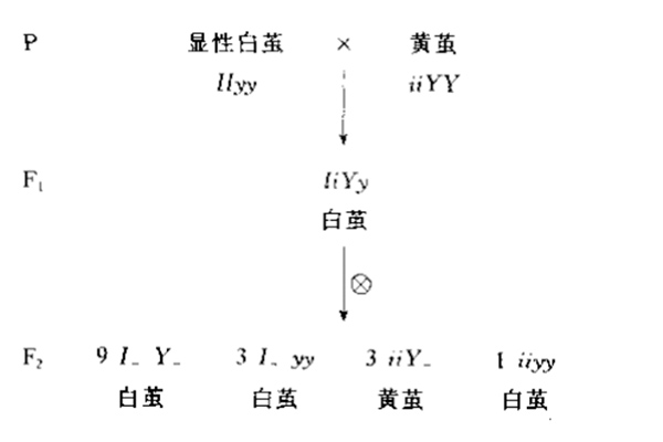    倒计时开始2021年USABO生物竞赛培训来啦，争分夺秒让你踏上直录藤校之路内容图片_5