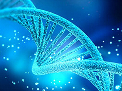AP生物题型之单选题和简答题怎么做正确率才会高？不如试试这几个建议