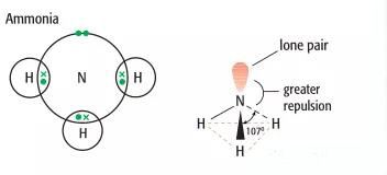 IB化学Covalent bonding知识点你了解多少   想学好分子赶紧收下这份实用干货内容图片_5