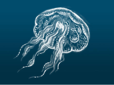 2021重点AP生物考试内容分析  带你重温4个Big idea要考知识点和重难点