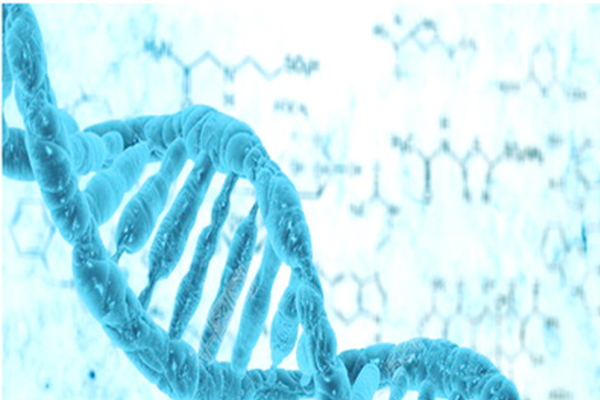 Alevel生物词汇精选   从AS到A2学的专业词汇都在这里了 内容图片_1