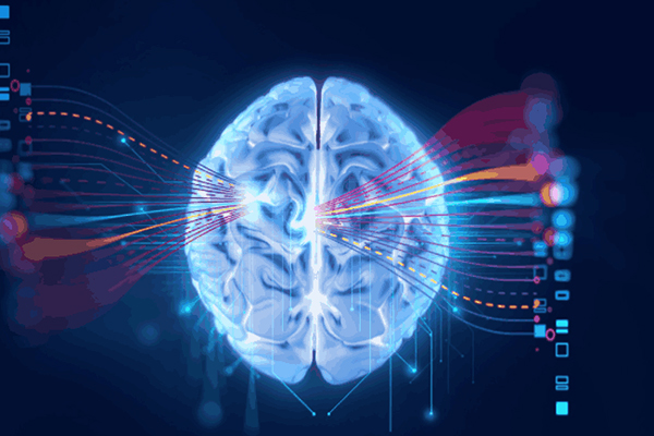 生物同学请注意 以下这些认可度高的生物类国际竞赛可以拯救你的G5藤校申请内容图片_2