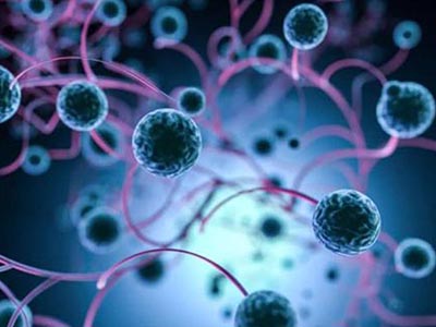 避雷版IB生物考试重点总结  这些知识误区你都踩雷了吗