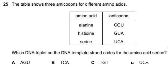 Alevel生物DNA真题解析  这几道来自CIE考试局的真题可是难倒了无数人内容图片_2