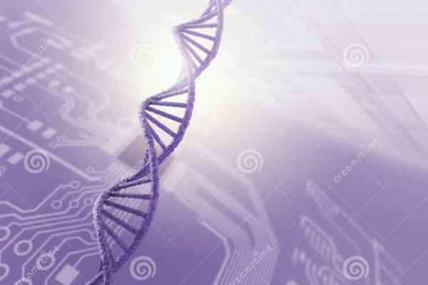 ​IGCSE生物陌生词汇太多学起来太难？不不不这篇IGCSE生物词汇规律教你如何猜出正确词意内容图片_2