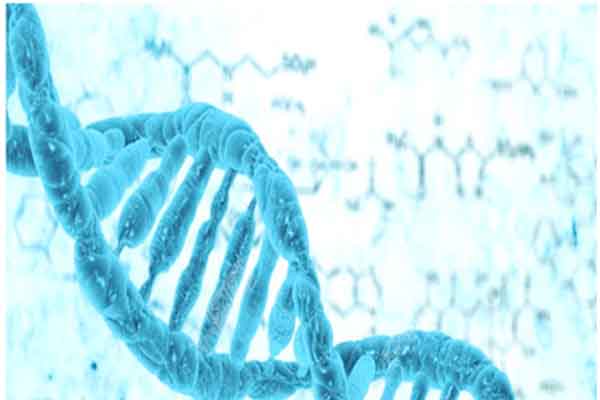 ​IGCSE生物陌生词汇太多学起来太难？不不不这篇IGCSE生物词汇规律教你如何猜出正确词意内容图片_1
