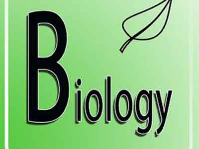 A*学员要备的IGCSEbiology考点总结  整本书的考点都在这了！