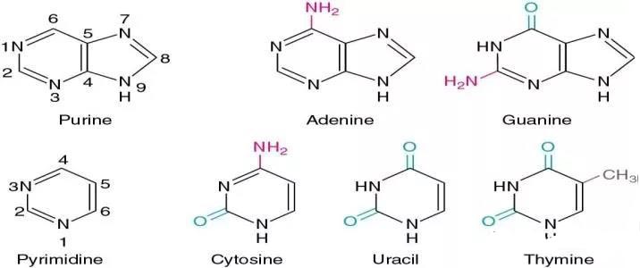 Alevel生物DNA真题解析  这几道来自CIE考试局的真题可是难倒了无数人内容图片_4