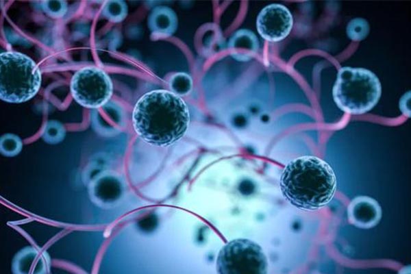 避雷版IB生物考试重点总结  这些知识误区你都踩雷了吗内容图片_1