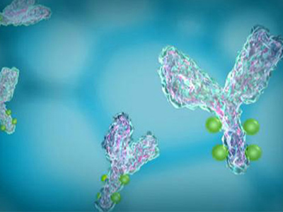 ​AP biology exam重点之糖类讲解  这些糖的种类可是考试要考的