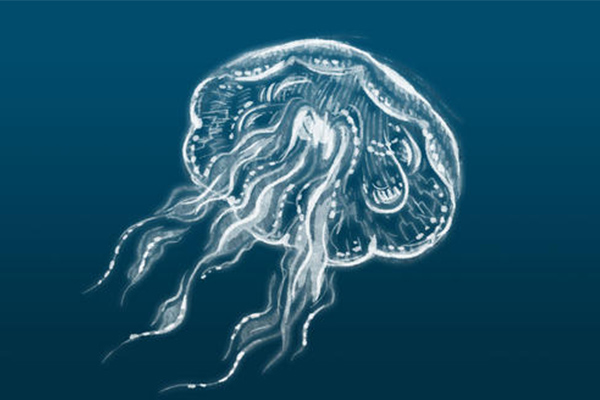 2021重点AP生物考试内容分析  带你重温4个Big idea必考知识点和重难点内容图片_1