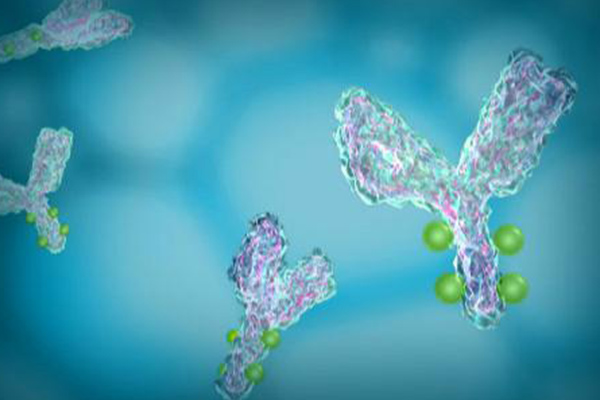 ​AP biology exam重点之糖类讲解  这些糖的种类可是考试必考的内容图片_1