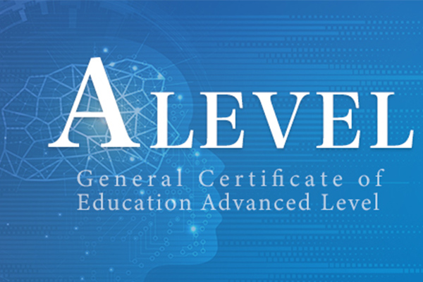 ​25分的Alevel经济学essay怎么写？框架搭建教程来了内容图片_1