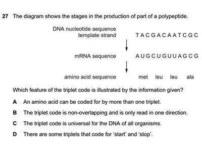 Alevel生物DNA真题解析  这几道来自CIE考试局的真题可是难倒了无数人