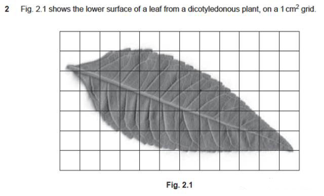 超全IGCSE生物试题解析，重要真题题型的技巧都藏在里面了内容图片_8