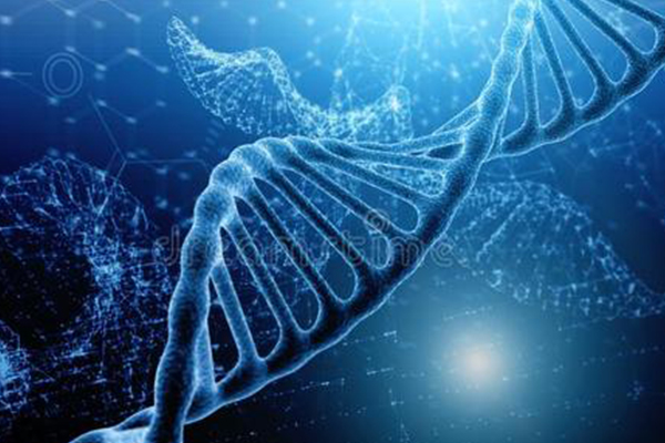 IGCSE生物考试术语你知道多少 以下这几个可是考试拿分的重要因素之一哦内容图片_1